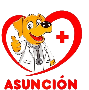 Asunción Pet